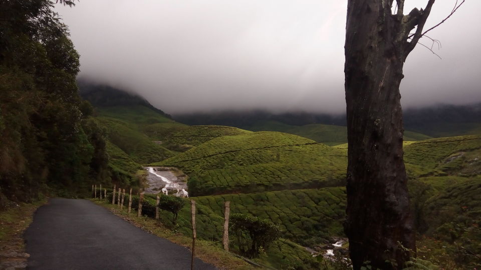 Photo of The Meesapulimala Trek by Ashwin J Chandran