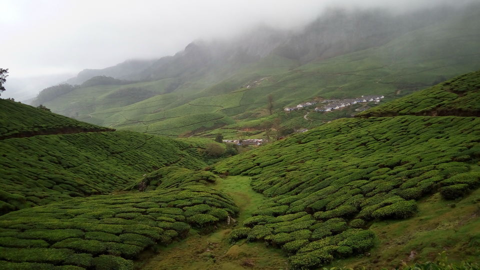 Photo of The Meesapulimala Trek by Ashwin J Chandran
