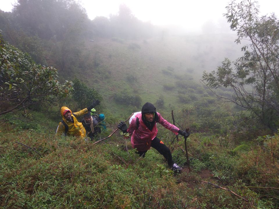 Photo of The Meesapulimala Trek by Ashwin J Chandran