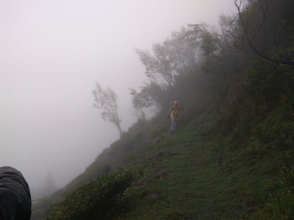 Photo of The Meesapulimala Trek by Ashwin J Chandran