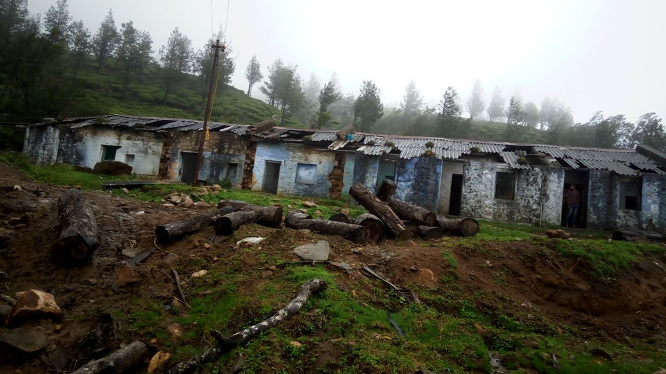 Photo of The Meesapulimala Trek by Ashwin J Chandran