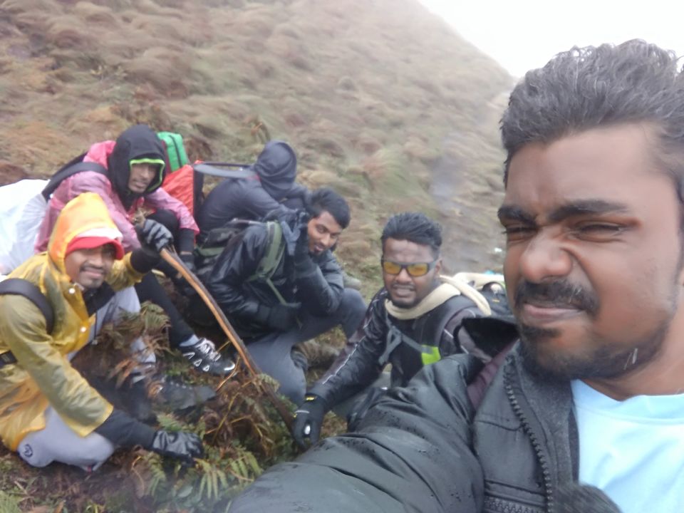 Photo of The Meesapulimala Trek by Ashwin J Chandran