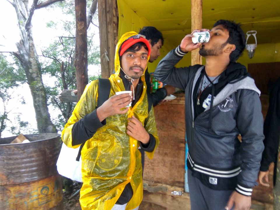 Photo of The Meesapulimala Trek by Ashwin J Chandran