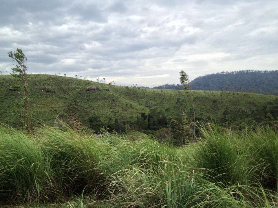 Photo of The Meesapulimala Trek by Ashwin J Chandran