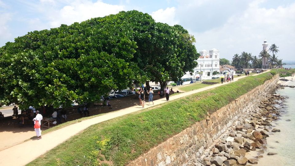 Photo of Two weeks in Sri Lanka 26/66 by David Raz