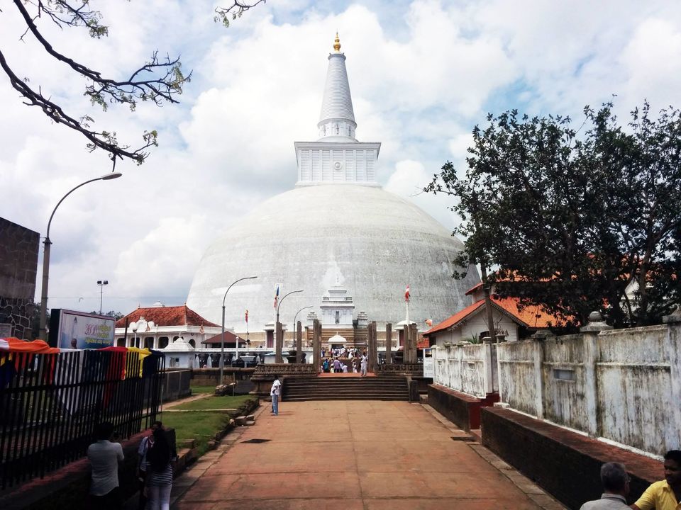 Photo of Two weeks in Sri Lanka 4/66 by David Raz