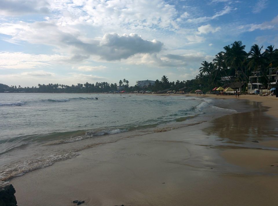 Photo of Two weeks in Sri Lanka 14/66 by David Raz