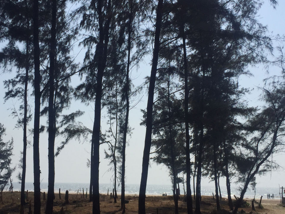 Photo of Akshi Beach, Akshi, Maharashtra, India by Apurva Jare