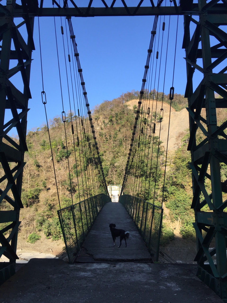 Photo of Your goto Adventure Plan in Uttarakhand by Apurva Jare