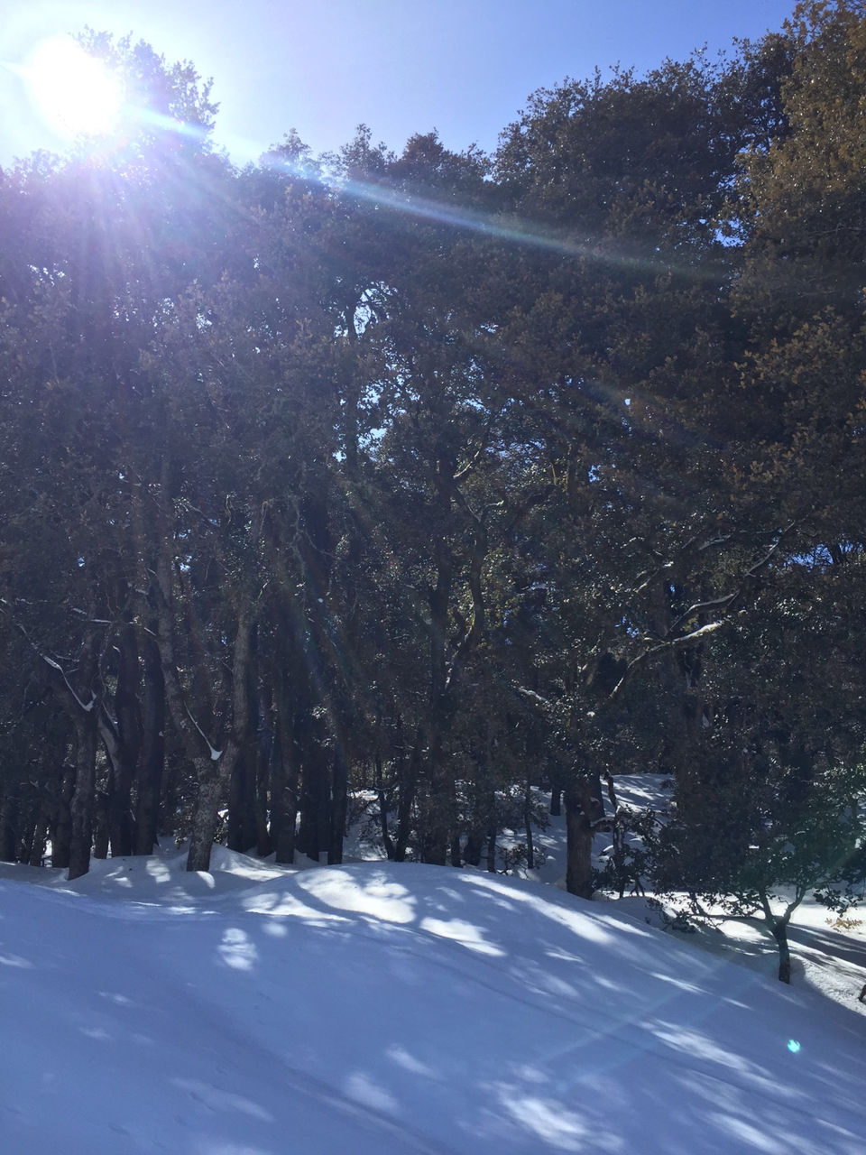 Photo of Your goto Adventure Plan in Uttarakhand by Apurva Jare