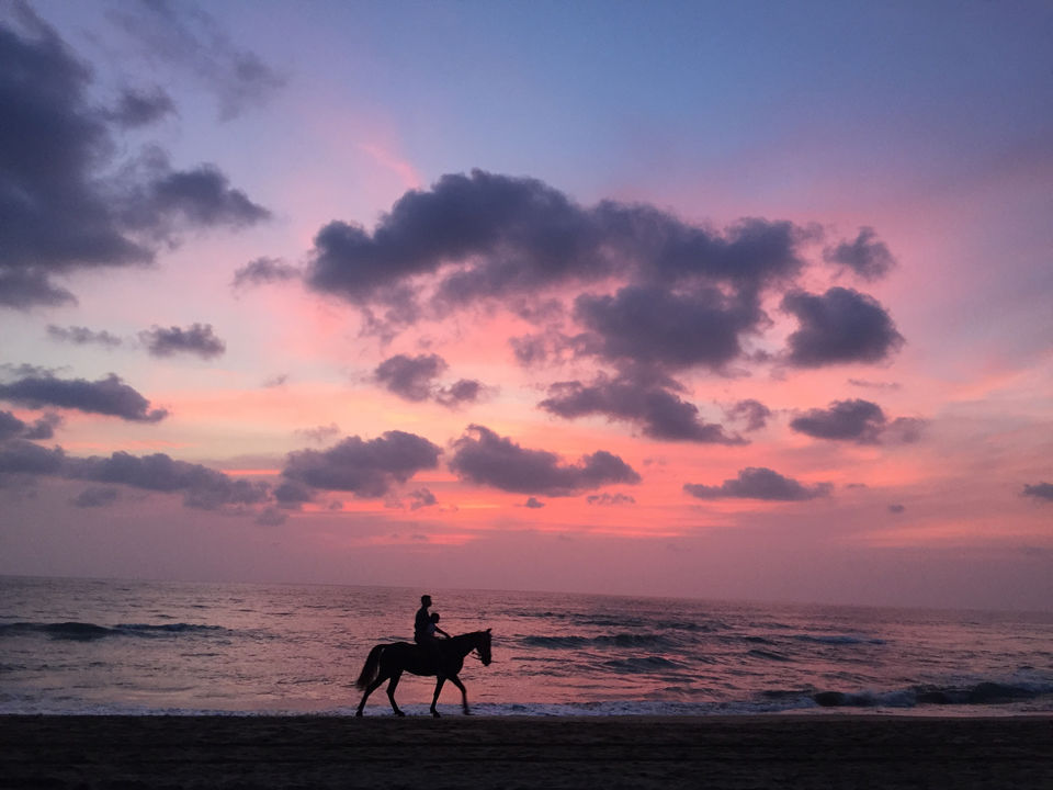 Photo of Unique-st Beach! #offbeatgoa by Apurva Jare