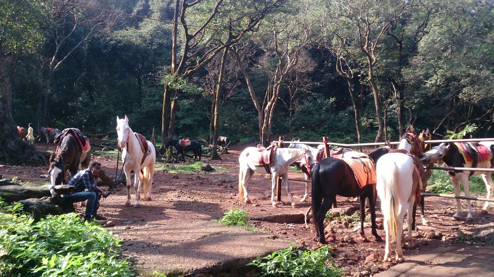 Photo of Matheran - Must Visit if you are in Pune/Mumbai 2/31 by Gurprit Singh