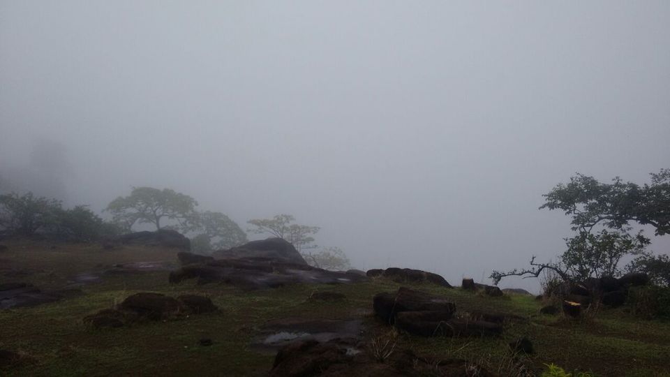 Photo of 20 Km's Trek/Walk - Rajmachi ( Can't make it to Fort on 1st time - Wait for Part:2 ) 12/14 by Gurprit Singh