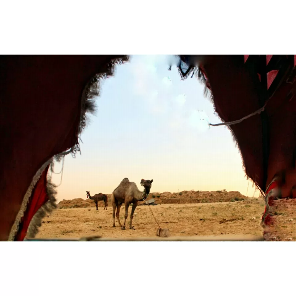 Photo of PUSHKAR MELA 2k18 by Reena budhiraja