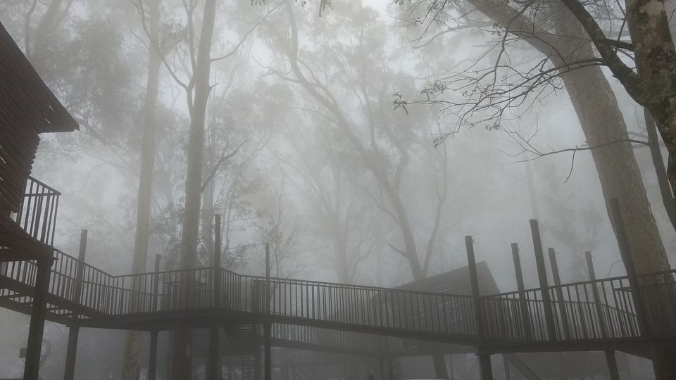 Photo of Nandi Hills, Karnataka, India by Arpan RC