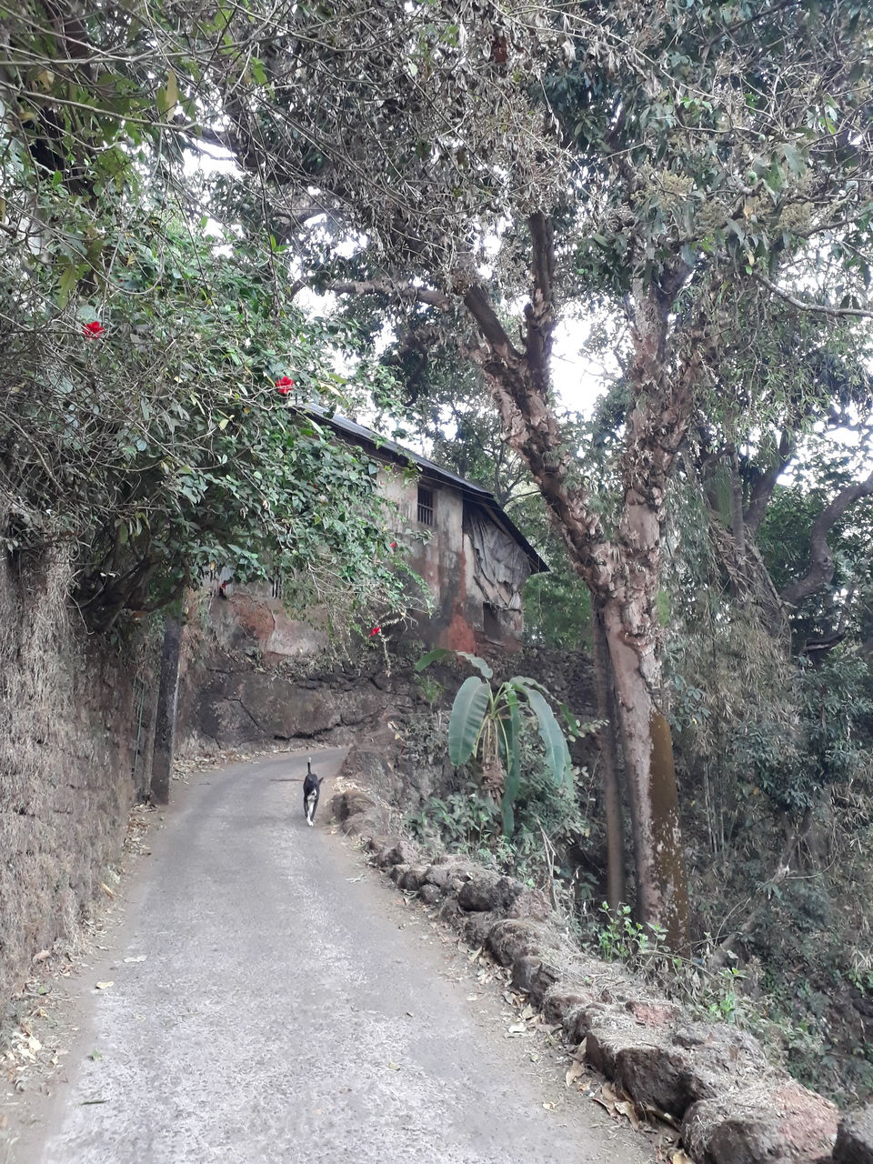 Photo of Hippy and Happy in Gokarna: A Photo Journal by Itisha Joshi