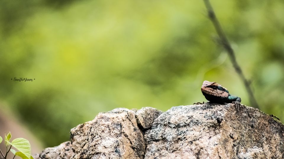 Photo of Great Escape by Santhosham