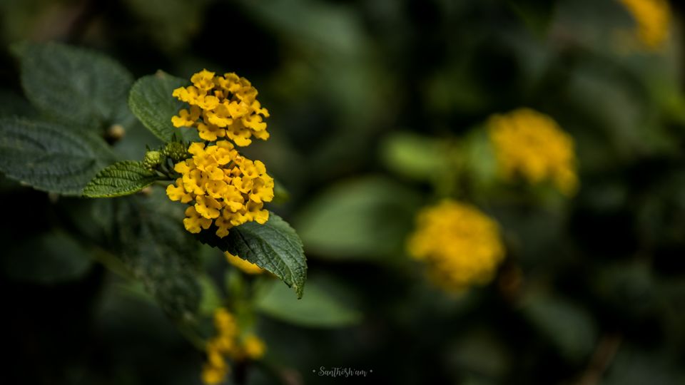 Photo of Namma Bengaluru by Santhosham