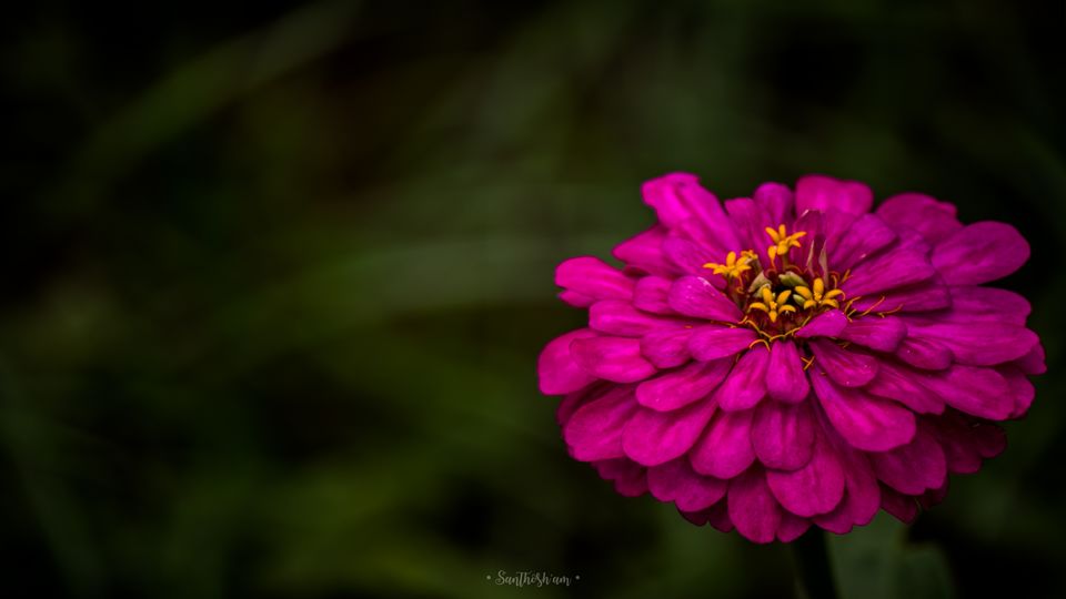 Photo of Araku Diaries by Santhosham