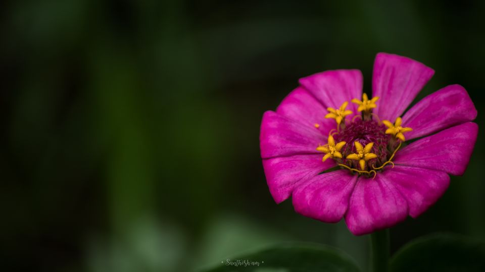 Photo of Araku Diaries by Santhosham