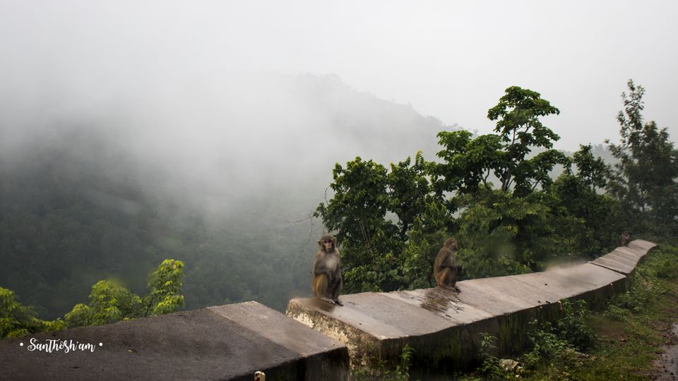 Photo of Araku Diaries by Santhosham