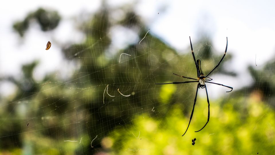 Photo of Araku Diaries by Santhosham
