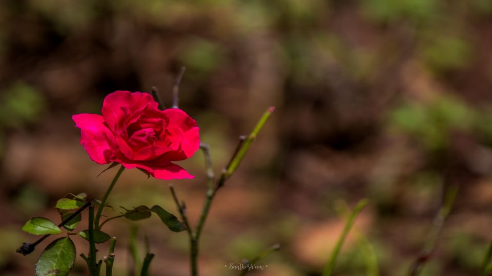 Photo of Araku Diaries by Santhosham