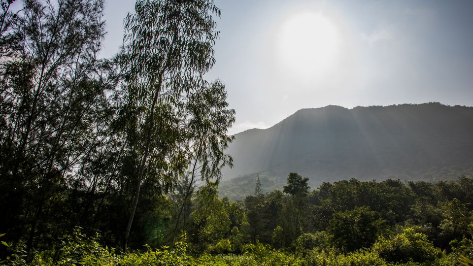 Photo of Araku Diaries by Santhosham