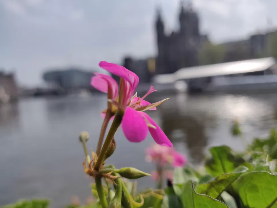 Photo of Amsterdam by Santhosham