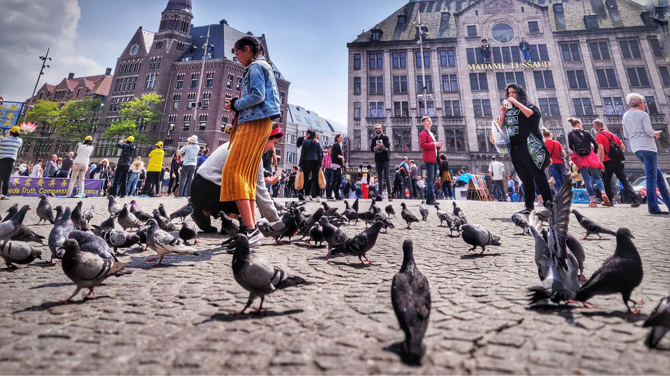 Photo of Amsterdam by Santhosham