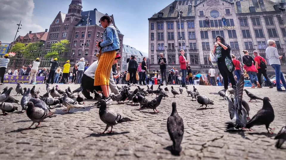 Photo of Amsterdam by Santhosham