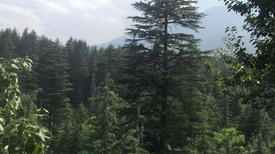 Photo of Manali to Leh- A Complete Travel Guide 1/23 by Praveen Hulsure