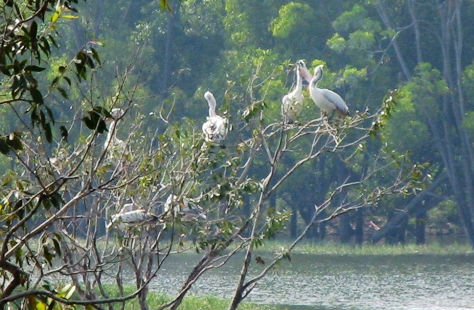 Photo of Kaikondrahalli Lake, Valliyamma Layout, Harlur, Bengaluru, Karnataka by Swathi Kamisetty