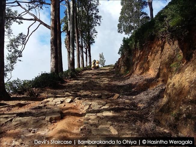 Photo of The Scenic hike of Devil's staircase from Bambarakanda to Ohiya | Well Known Places 1/3 by Pushpitha Wijesinghe