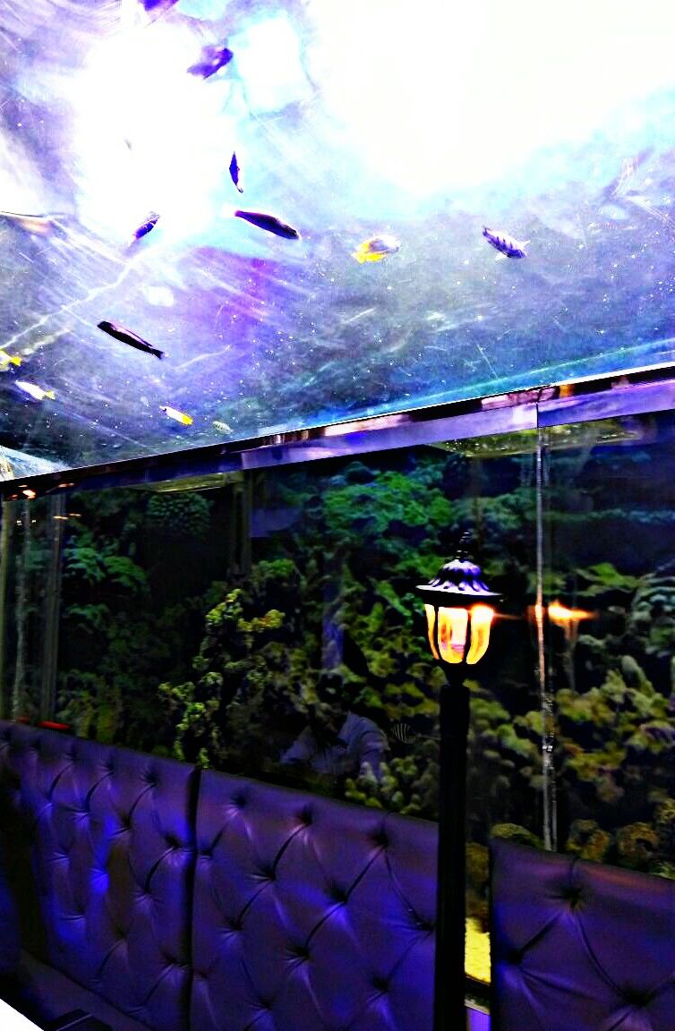 Photo of Let’s dine with the fishes 4/13 by Riya