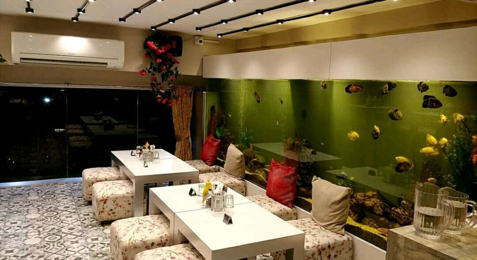 Photo of Let’s dine with the fishes 5/13 by Riya