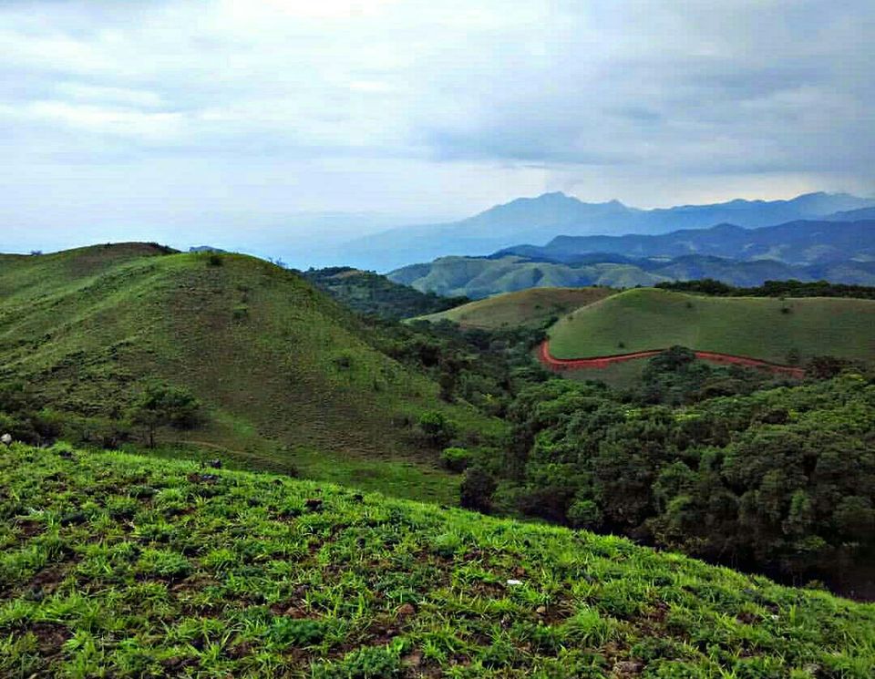Photo of Coorg, The Mountains Are Calling. 1/15 by Riya