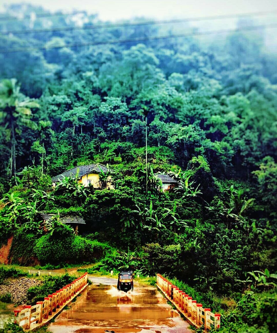 Photo of Coorg, The Mountains Are Calling. 2/15 by Riya