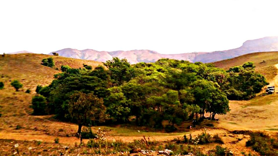 Photo of Coorg, The Mountains Are Calling. 7/15 by Riya
