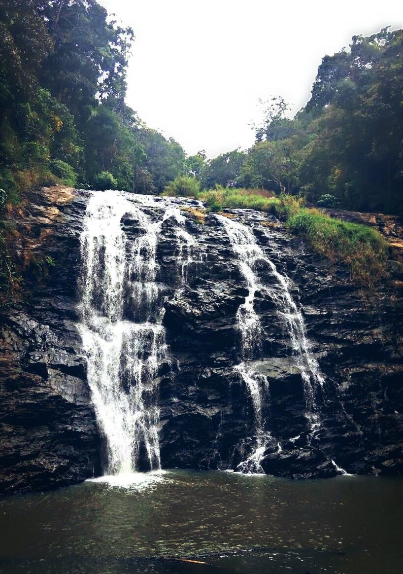 Photo of Coorg, The Mountains Are Calling. 9/15 by Riya