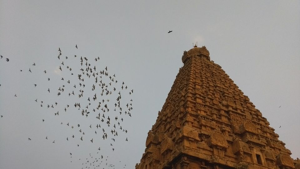 Photo of Tanjore, Tamil Nadu, India by Niranjan Rajavel
