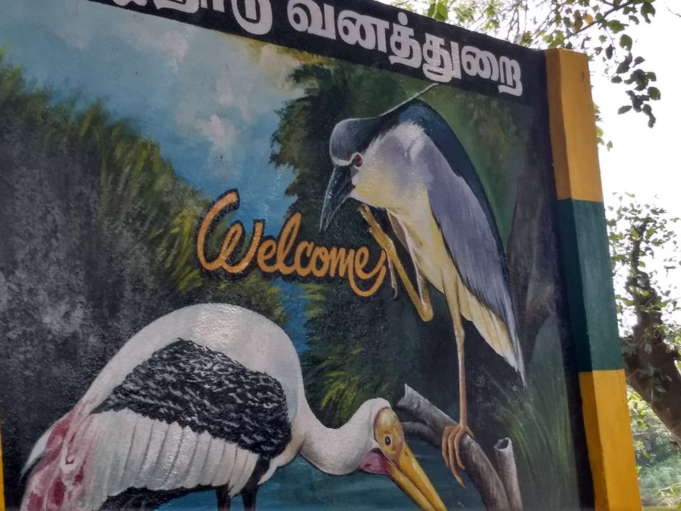 Photo of Vedanthangal, Tamil Nadu, India by Niranjan Rajavel