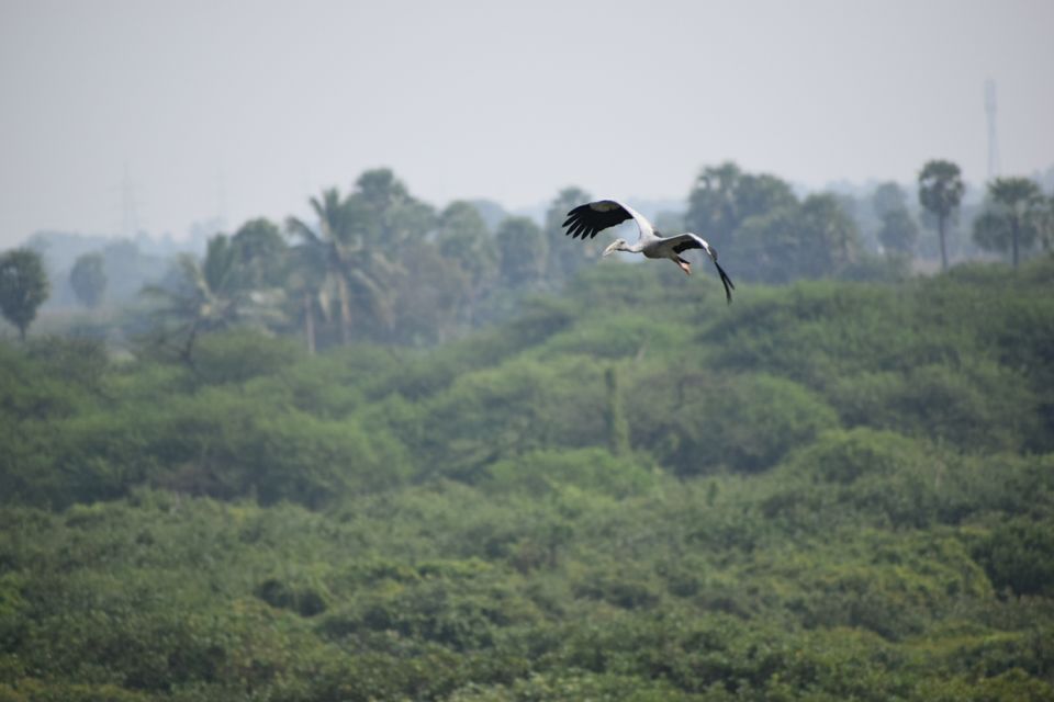 Photo of Vedanthangal, Tamil Nadu, India by Niranjan Rajavel