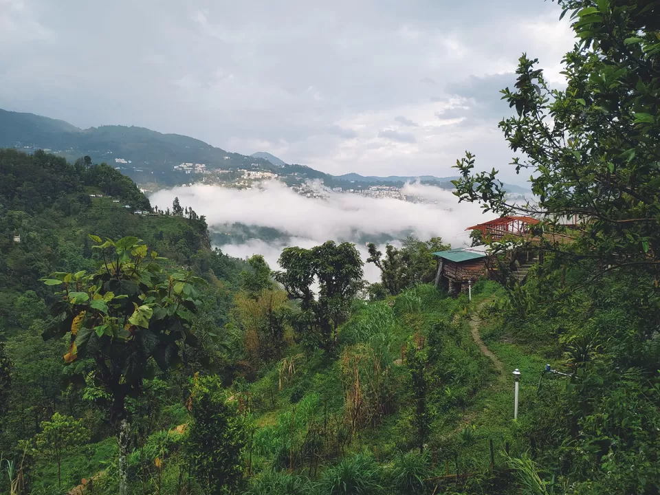 Photo of Parbing, Sikkim, India by Japleen Kaur