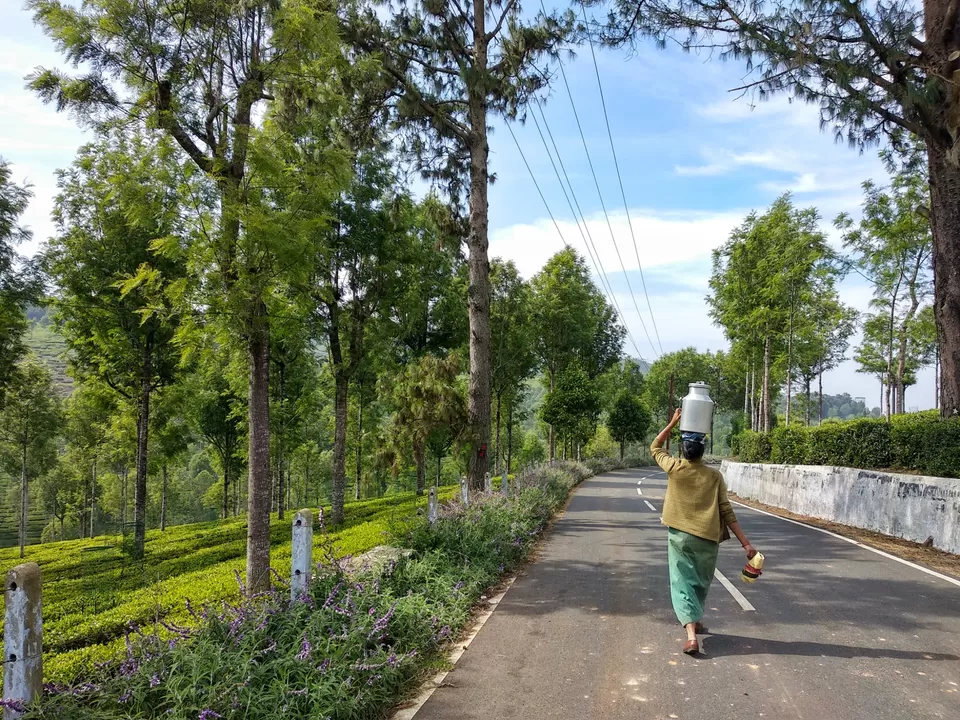 Photo of Kotagiri By Ahammed Shahz