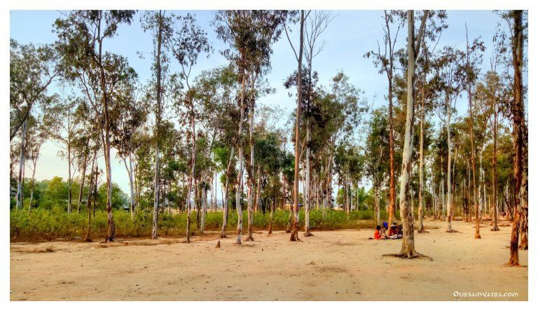 Photo of Sonajhuri Forest, Birbhum, West Bengal, India by Aniruddha and Debabrati