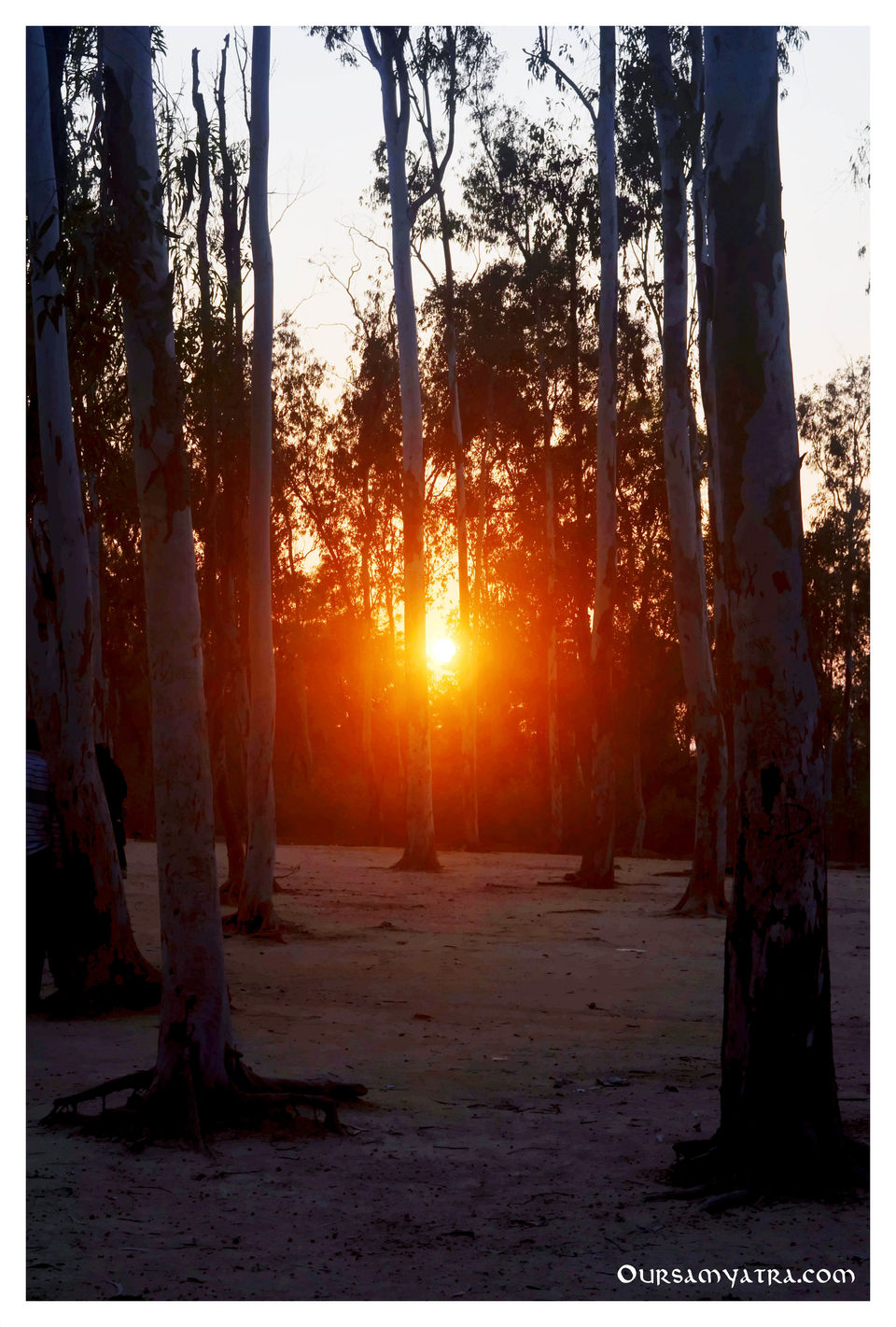 Photo of A Small Day Trip To Khoai er Haat-Santiniketan by Aniruddha and Debabrati