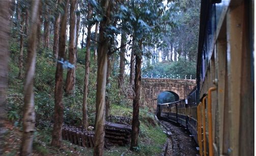 Photo of Udagamandalam - A Heritage Train Trip by Naveen