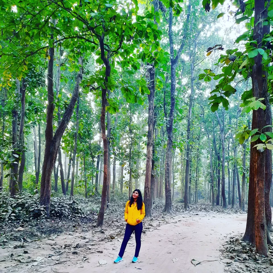 Photo of SoME TaLks with The TREEs #Besttripever by IndiantravelgiRL