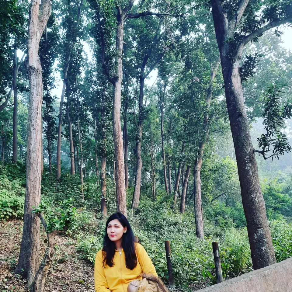 Photo of SoME TaLks with The TREEs #Besttripever by IndiantravelgiRL